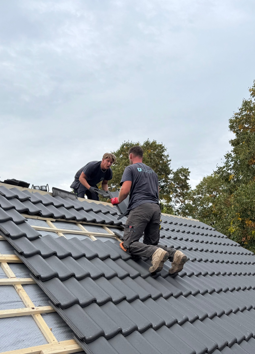 IMG_7318 Djordi op pannendak